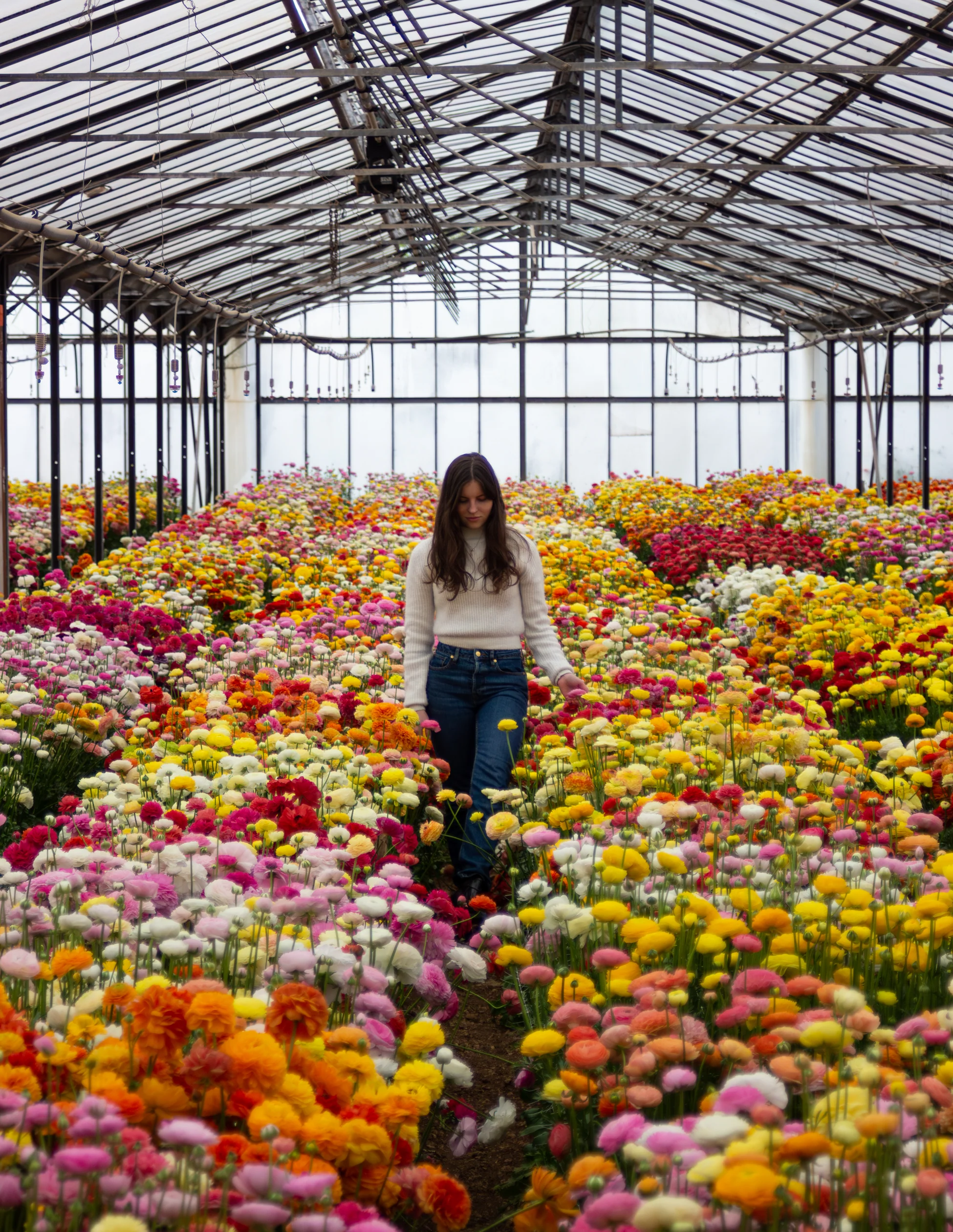Cultivate Your Extraordinary Secret Garden